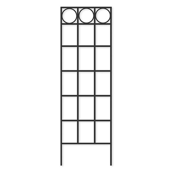 Blurred Placeholder