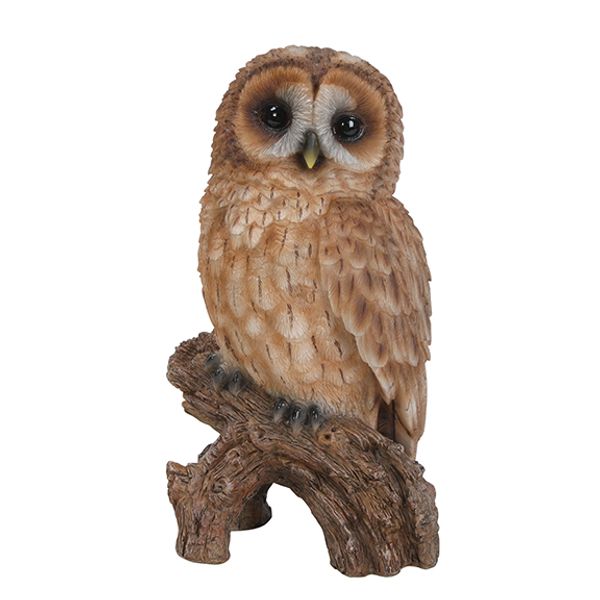 Product - Tawny Owl, 4.25